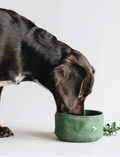 Collapsible Dog Bowl